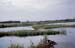 Polotsk08