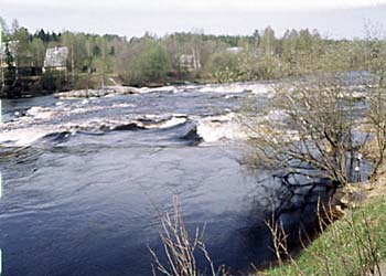 mn009