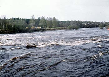mn019