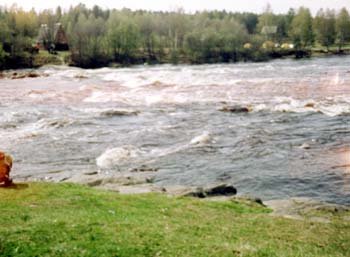 mn022