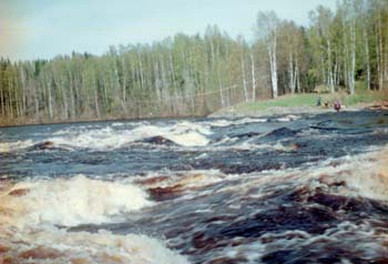 mn047
