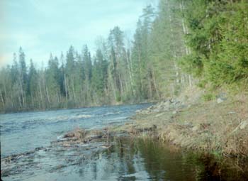 mn067