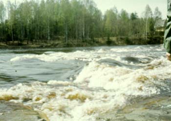 mn073