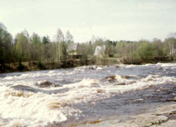 mn077