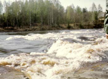 mn080