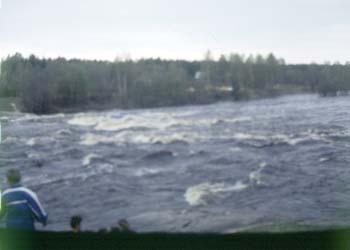 mn096