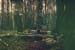Bashkino80_01a