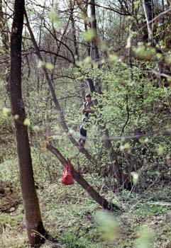 Istra1984_17