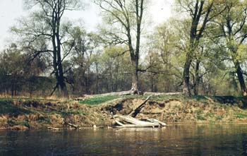 Istra1984_24a
