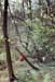 Istra1984_17