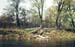 Istra1984_24a