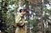 Istra1984_32