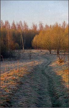 slide0056_image055