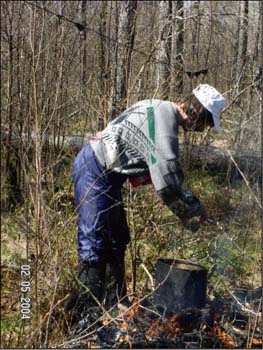 slide0086_image085