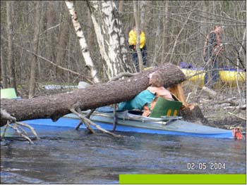 slide0107_image107