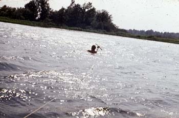 VVo1981_017