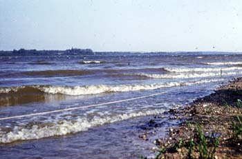 VVo1981_018