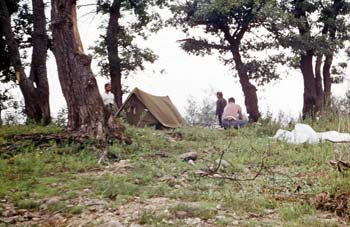 VVo1981_020