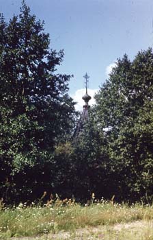 VVo1981_029