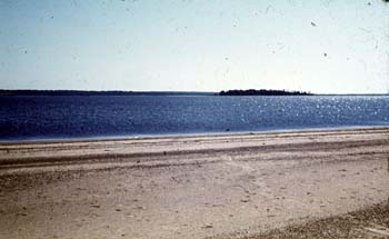 VVo1981_035