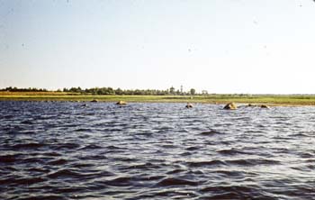 VVo1981_040